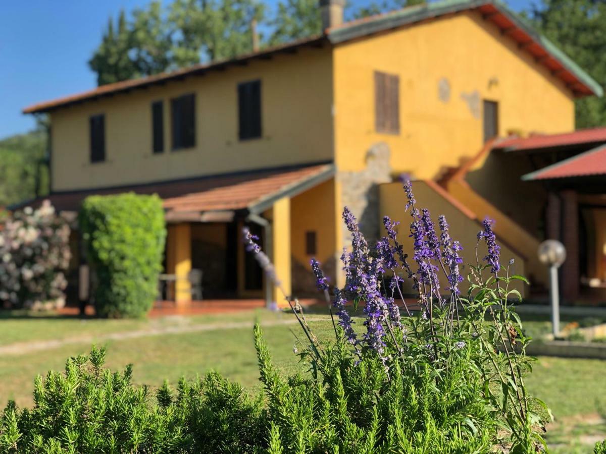 Agriturismo Santa Lorica Sassetta Bagian luar foto